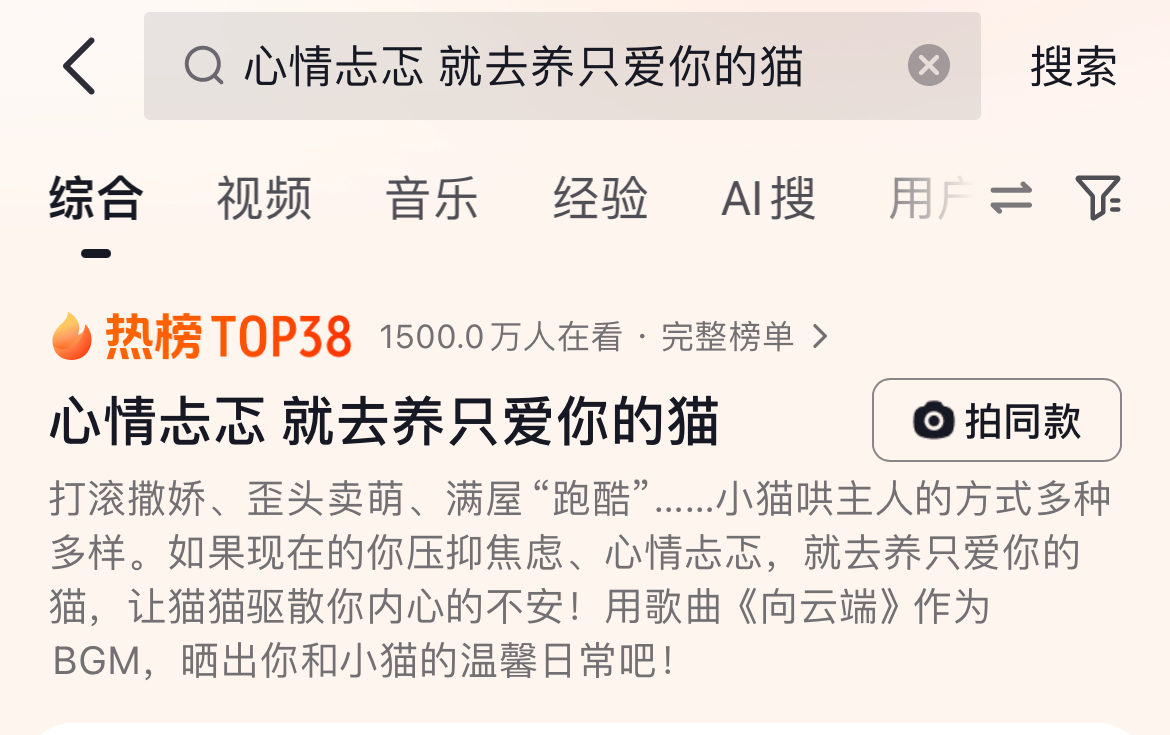 如果你心情忐忑，就去养只爱你的猫吧！