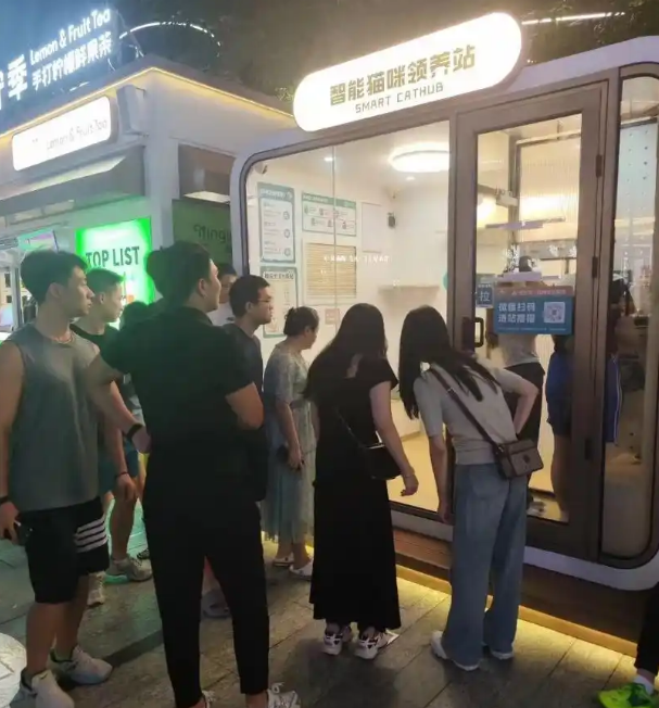 首个AI+猫咪领养站现身！城市流浪动物管理“新招式”