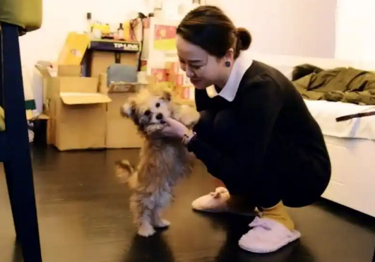 38万克隆爱犬，斥资百万打造永恒陪伴，富人的狗都能“永生”了？