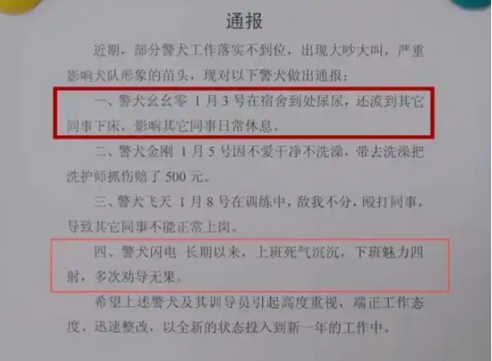 “上班死气沉沉”“到处尿尿”，4只警犬被通报