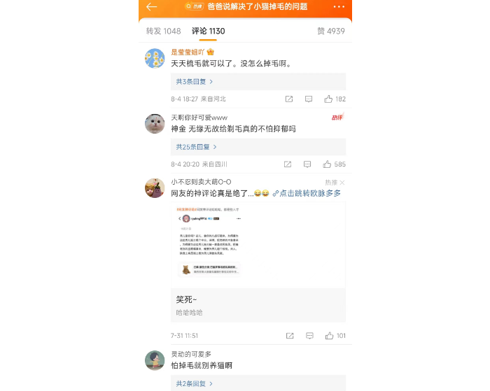 爸爸说解决了小猫掉毛的问题