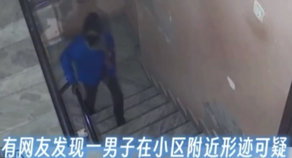 网传律师虐杀猫谋利， 8年内虐杀超4000只猫