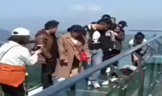 主人带哈士奇走玻璃桥，二哈直接被吓瘫，路人纷纷笑到肚子疼