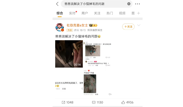 爸爸说解决了小猫掉毛的问题
