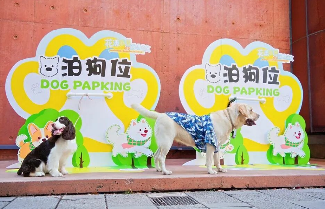 浦东新区文明养宠主题活动暨2026年沪东萌宠欢乐季成功举办