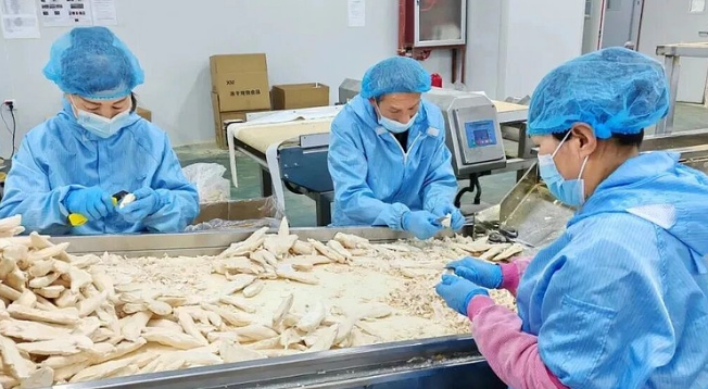 山西宠物经济迎风口，58亿消费蓝海，这些本土企业正在崛起