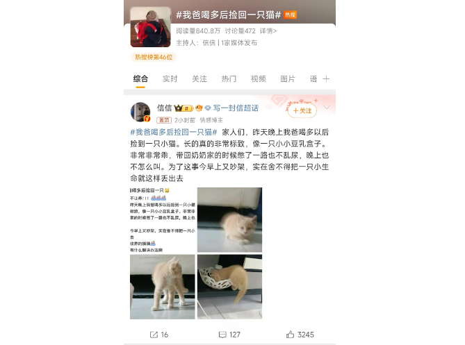 【奇闻趣事】：我爸喝多后捡回一只猫