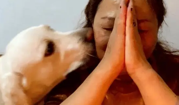 妈妈过生日，在许愿的瞬间狗狗突然亲了她一下，谁懂啊！！