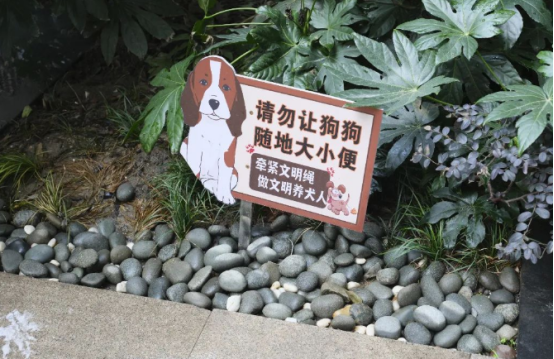 “狗狗运动专线”试点、“美丽家园”楼道改造，小区“上新”了