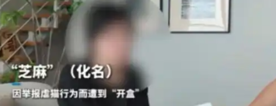 因举报虐猫者，上海一女子和家人遭遇“开盒”，警方立案