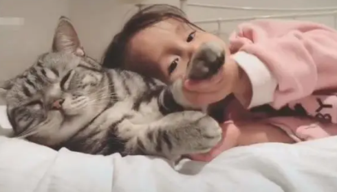 混血小女孩遇上可爱大猫咪，网友：好萌啊，我露出了姨母笑