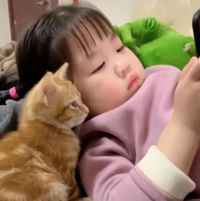 下班回家一进门，发现妹妹和猫猫在看手机，结果仔细一看笑喷了