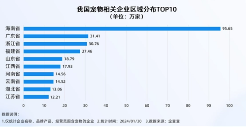 这届年轻人追求宠物春节仪式感：新衣、大餐、美容一个不少