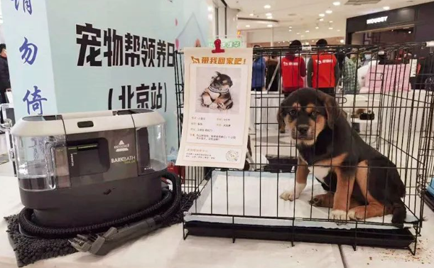 你家狗多久洗一次？我家狗都快把我逼疯了...