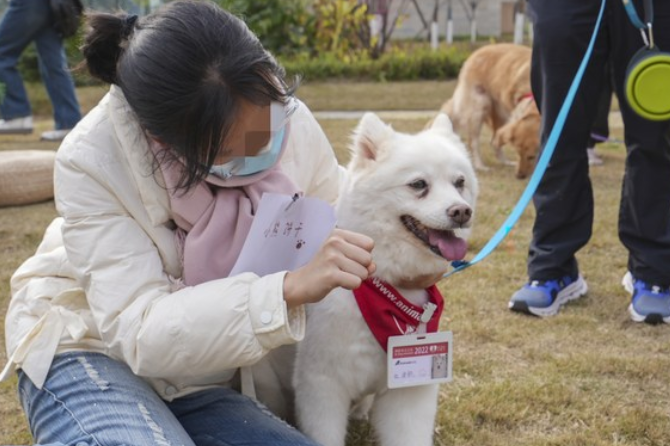 “狗狗医生”来了!四川成都将治疗犬只运用于心理治疗 “狗狗医生”来了!四川成都将治疗犬只运用于心理治疗