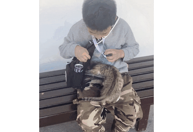 9岁男孩双手捧水喂流浪猫,还用电话手表给它拍照,网友大赞:善良的小孩哥! 9岁男孩双手捧水喂流浪猫,还用电话手表给它拍照,网友大赞:善良的小孩哥!