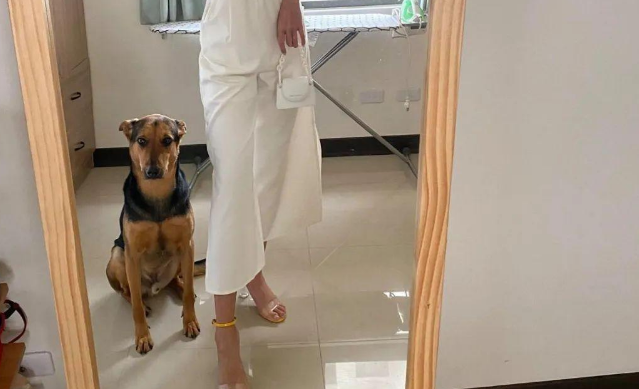 女子夜间在公园遛狗,却和爱犬走失,它却认路自己搭电梯回家 女子夜间在公园遛狗,却和爱犬走失,它却认路自己搭电梯回家