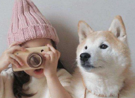 柴犬化身“狗保姆”，照顾小主人太细心走红，宠主：都是为了生活