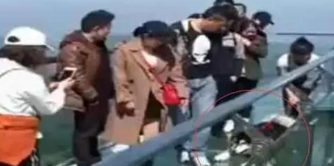 二哈被铲屎官骗上玻璃桥吓蒙，路人爆笑
