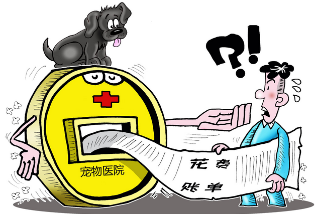 宠物医疗潜藏法律风险,听听法官怎么说 宠物医疗潜藏法律风险,听听法官怎么说