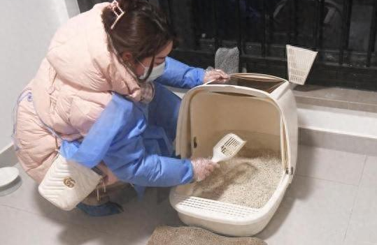 春节宠物托管师生意火爆：价格翻了倍，背后有隐忧
