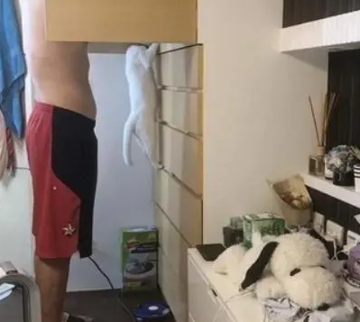猫咪帮主人挑衣服，露出与爸爸同款小肚腩，画面温馨逗趣