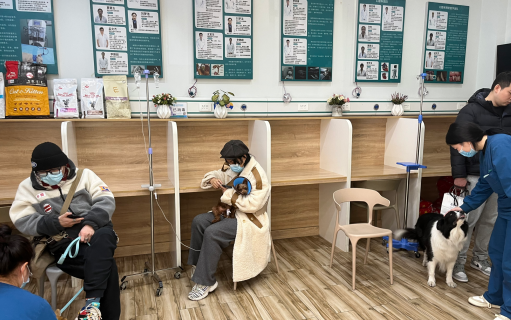 宠物医疗市场规模达600亿元,连锁化发展是趋势 宠物医疗市场规模达600亿元,连锁化发展是趋势