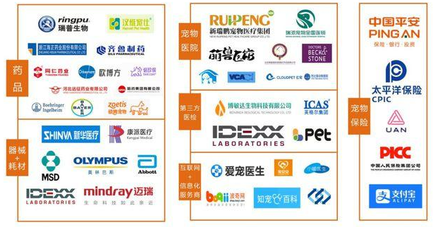 爆火的宠物医疗,没想象中那么好做 爆火的宠物医疗,没想象中那么好做
