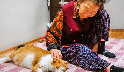 老太太听见楼下猫咪一直叫,知道原因后,让人感动不已 老太太听见楼下猫咪一直叫,知道原因后,让人感动不已