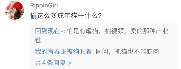 猫贩子伪装成外卖员偷走280只家猫，还要把它们端上餐桌、卖到虐猫者手里......