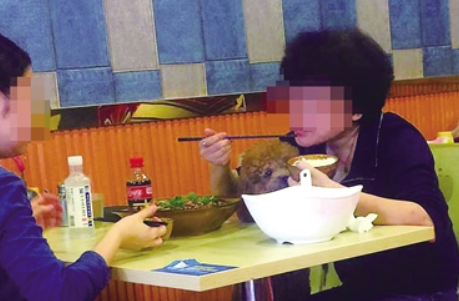 母女餐馆吃饭与狗共用碗筷 邻桌食客看得吃不下饭 母女餐馆吃饭与狗共用碗筷 邻桌食客看得吃不下饭