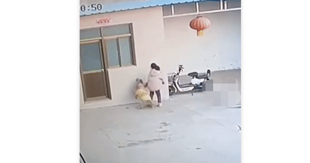 “老师，说出来你可能不信，我的书包被狗抢走了......”