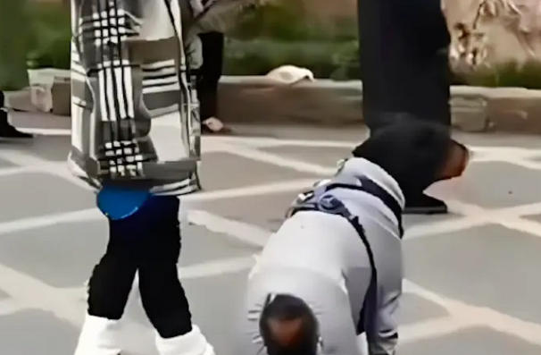 女子被未戴嘴套的狗吓到,与对方发生冲突!狗主人:狗比你金贵! 女子被未戴嘴套的狗吓到,与对方发生冲突!狗主人:狗比你金贵!