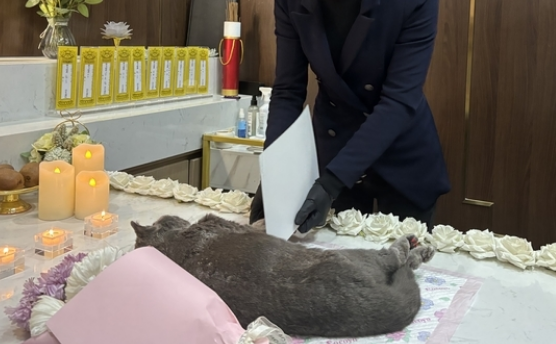 三位济南姑娘转行“宠物殡葬师”，为上千只宠物举行告别仪式