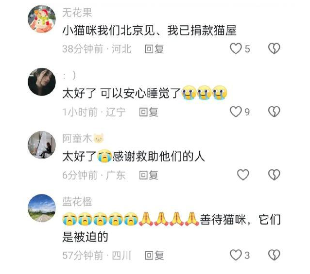 新后续!猫咪已救出,视频中看着模样可怜 新后续!猫咪已救出,视频中看着模样可怜