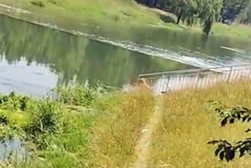 主人不幸溺亡，忠犬金毛苦苦守候，拒绝离开事发地